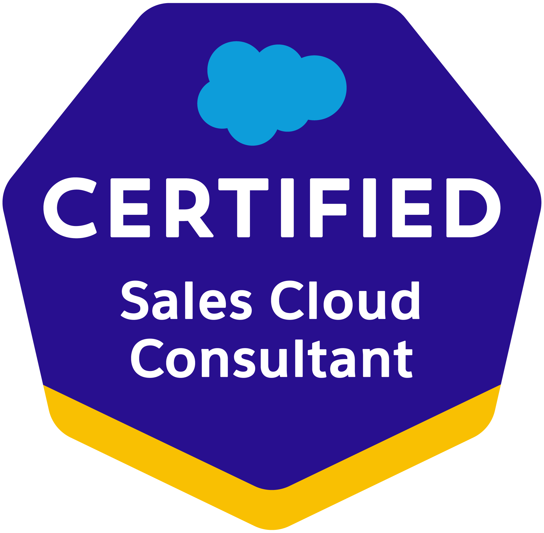 Sales Cloud Consultant