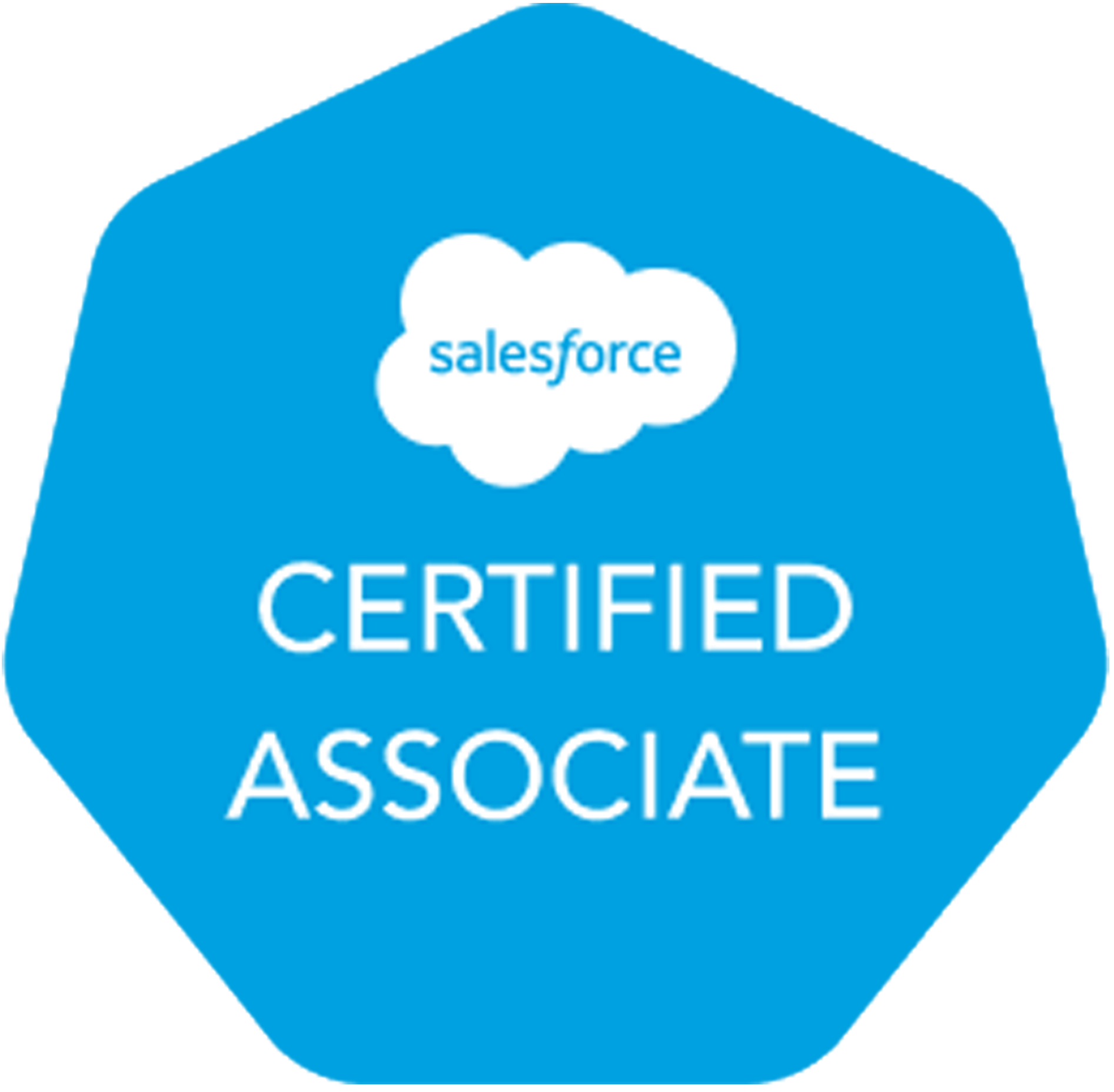 Salesforce Certified Associate