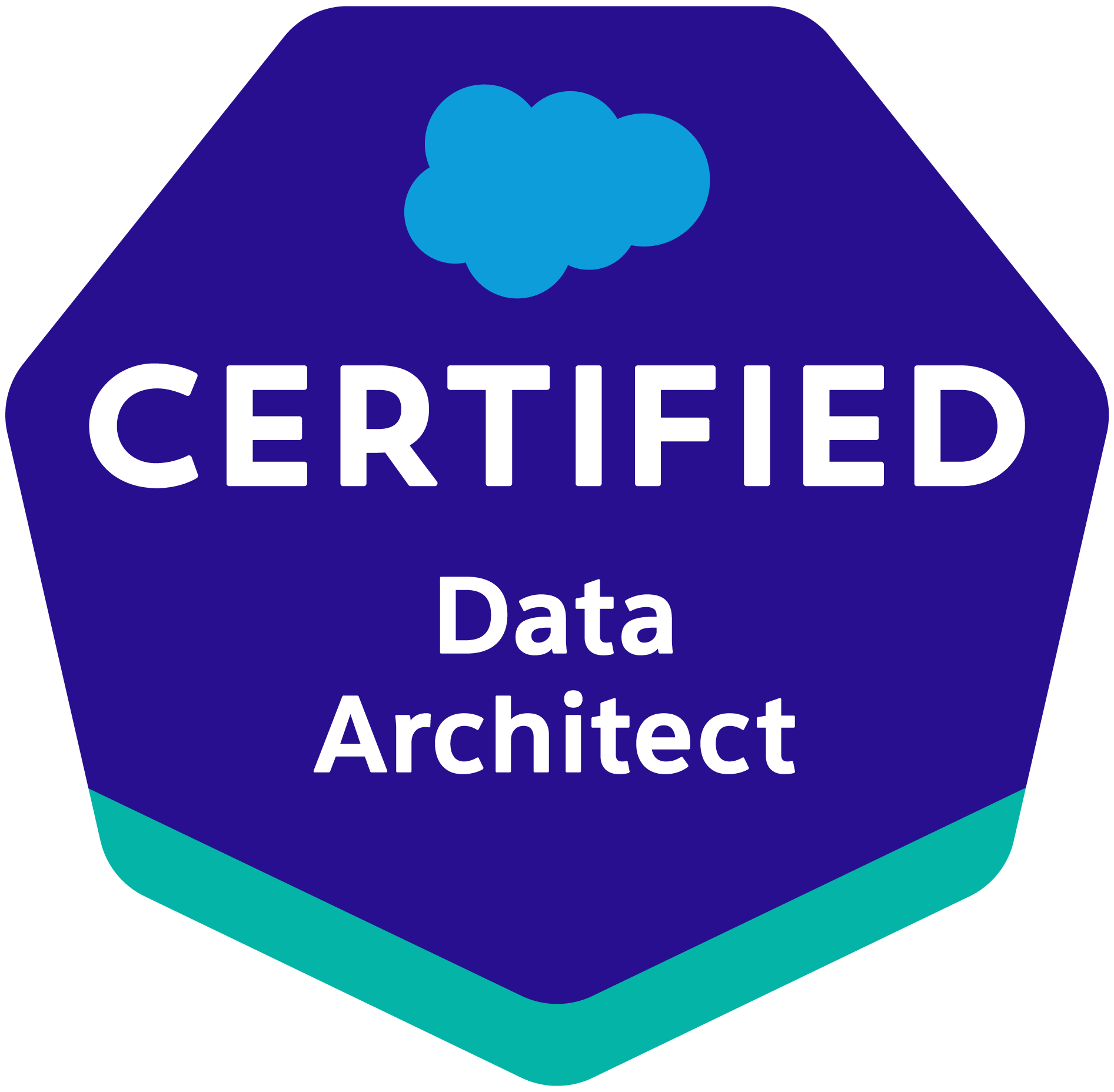 Salesforce Data Architect